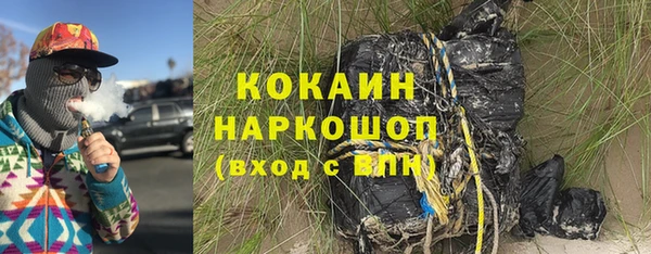 ГАЛЛЮЦИНОГЕННЫЕ ГРИБЫ Богданович