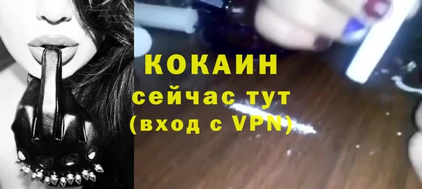 ГАЛЛЮЦИНОГЕННЫЕ ГРИБЫ Богданович