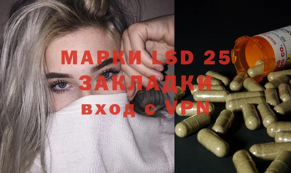 ГАЛЛЮЦИНОГЕННЫЕ ГРИБЫ Богданович